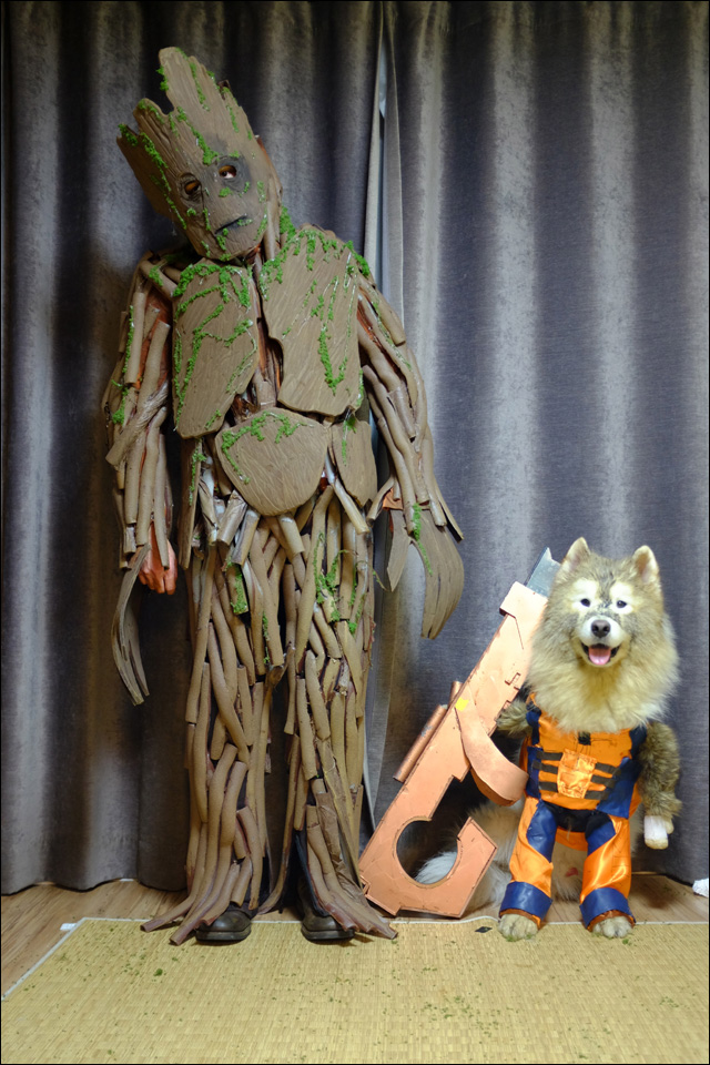 man and dog costumes