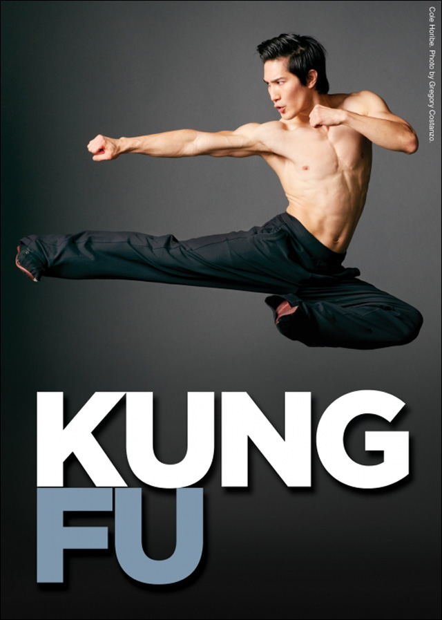 bruce lee kung fu