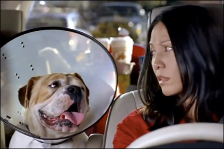 Nissan quest commercial asian actress #4