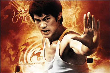 bruce lee 2008